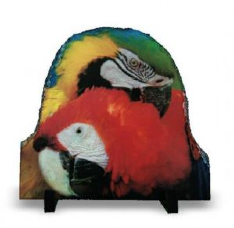 Xisto o16x16